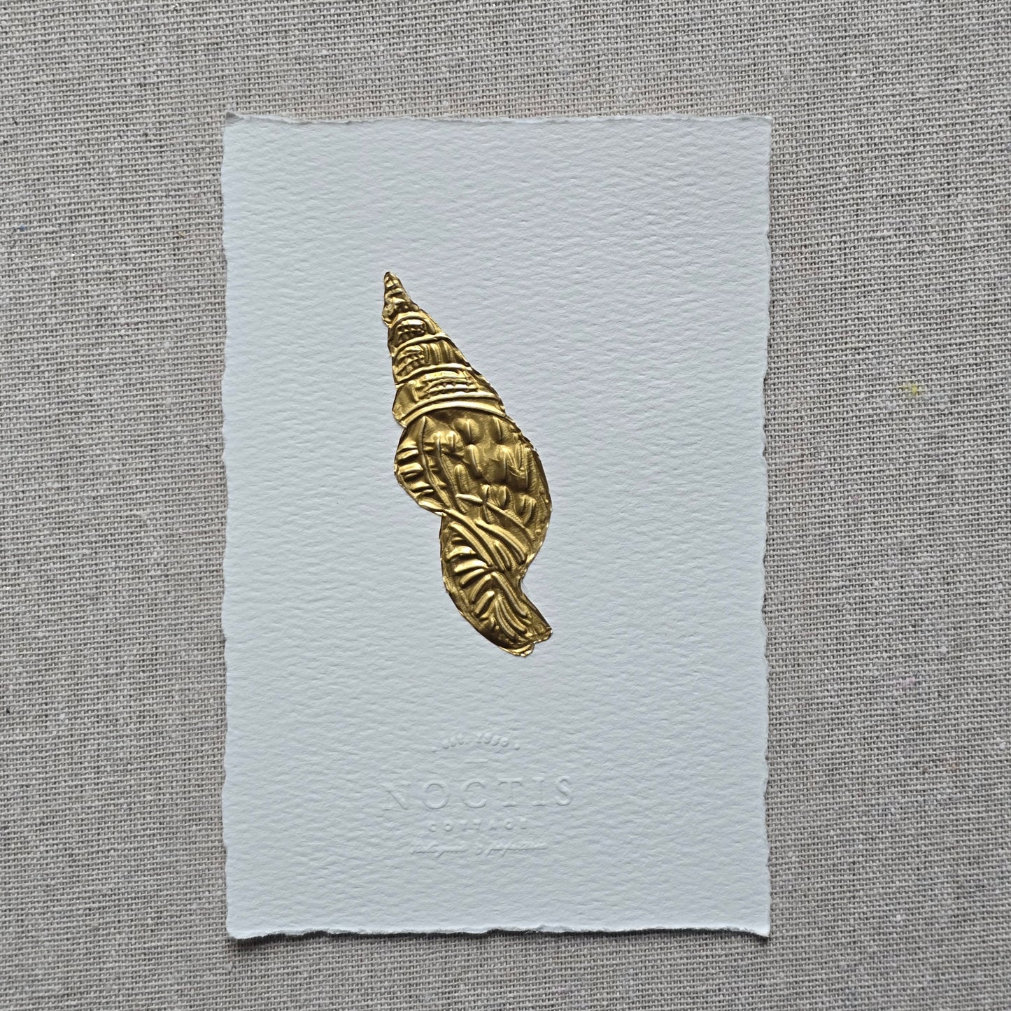 CARTE COQUILLAGE