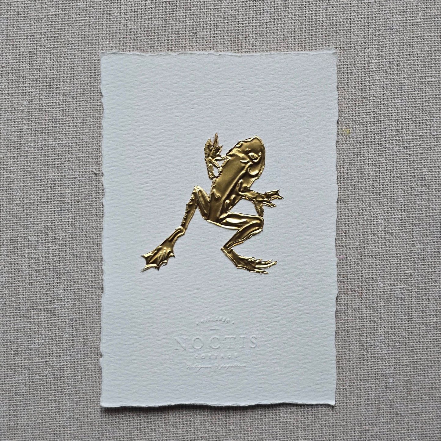 CARTE GRENOUILLE