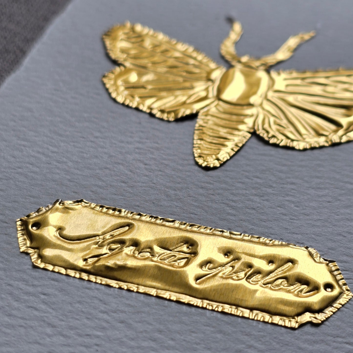 CARTE PAPILLON