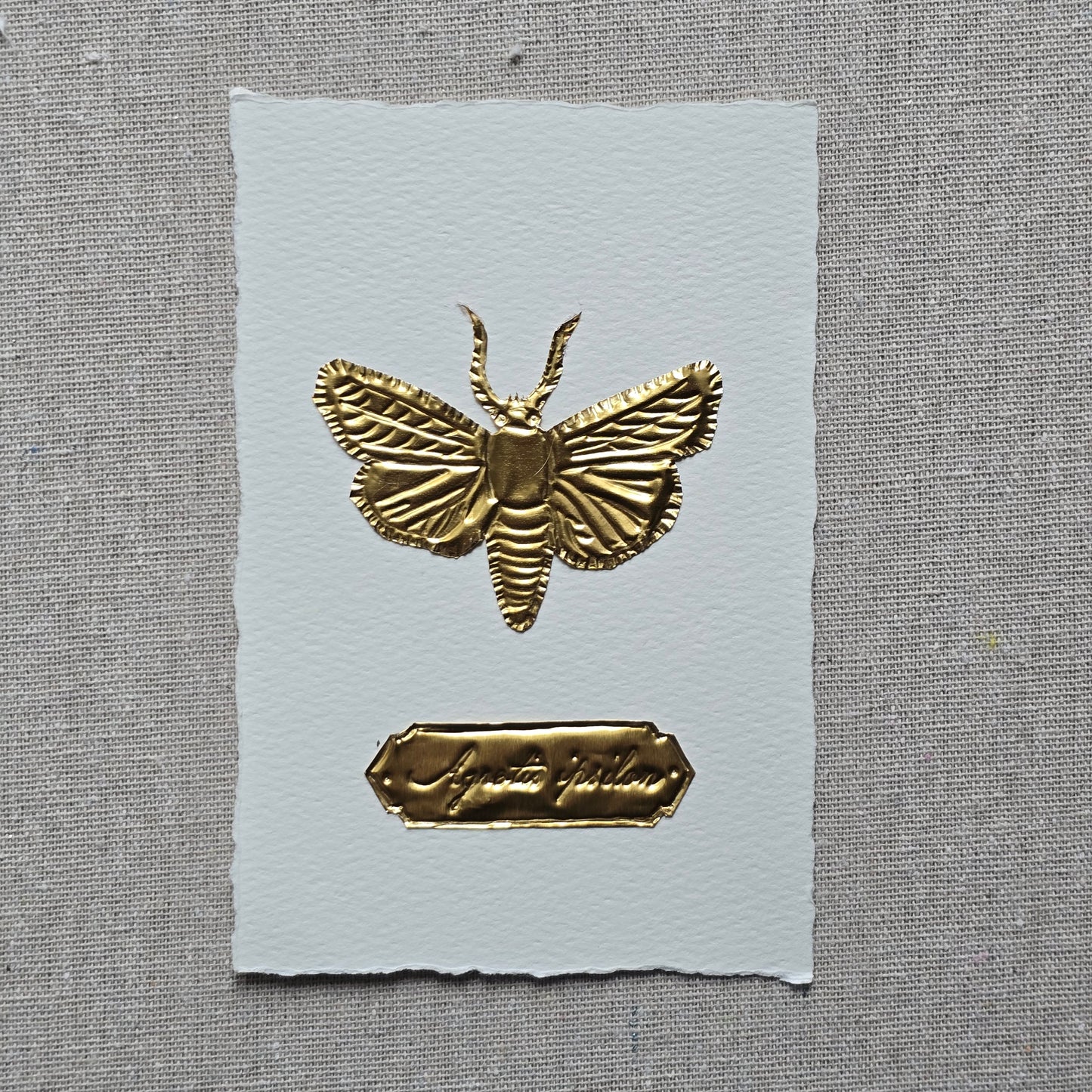 CARTE PAPILLON