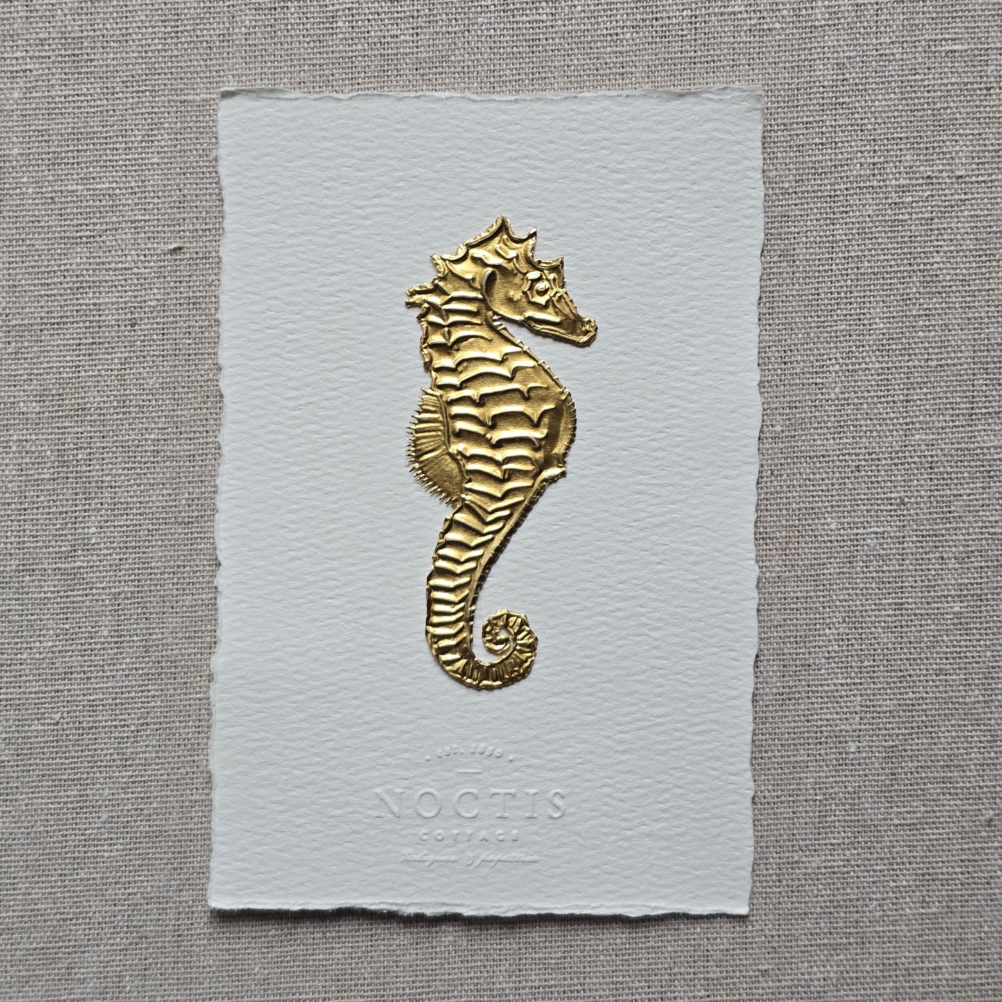 CARTE HIPPOCAMPE