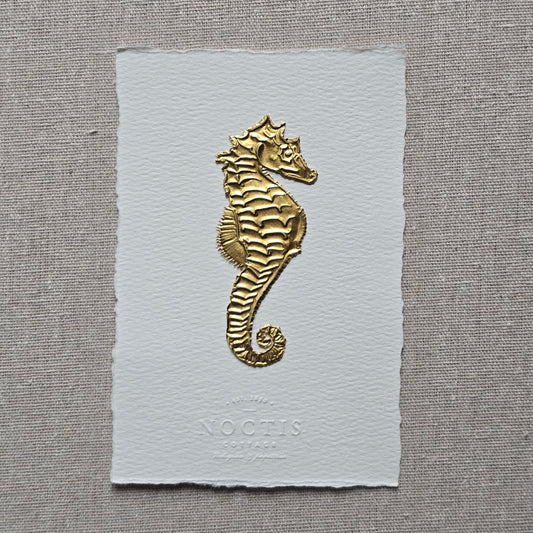 CARTE HIPPOCAMPE