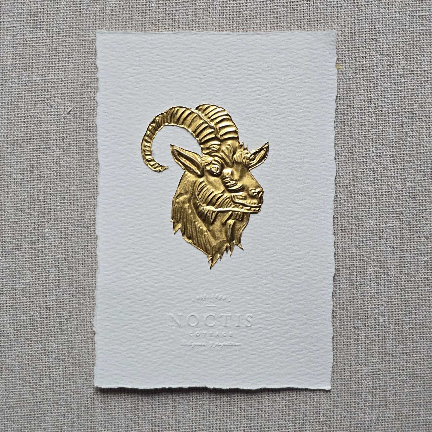 CARTE BOUC