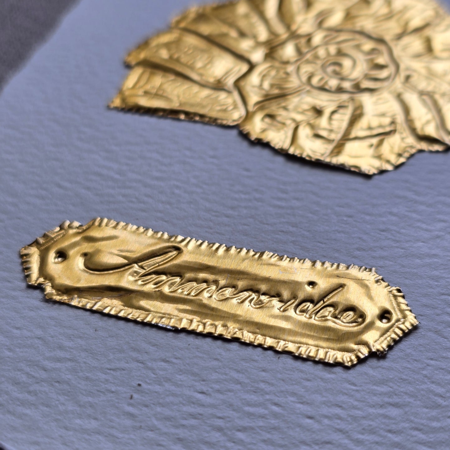 CARTE AMMONITE