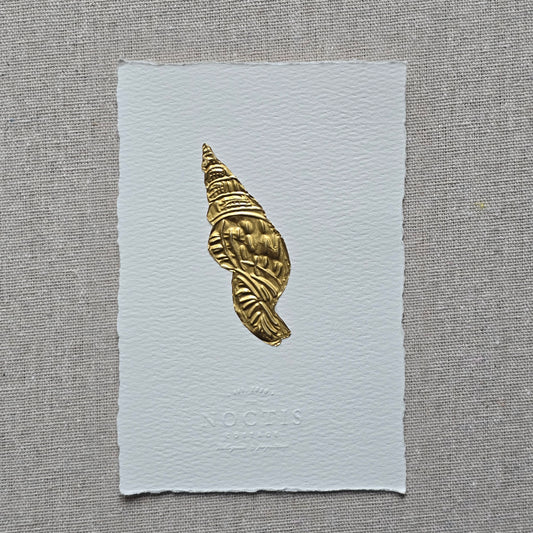 CARTE COQUILLAGE