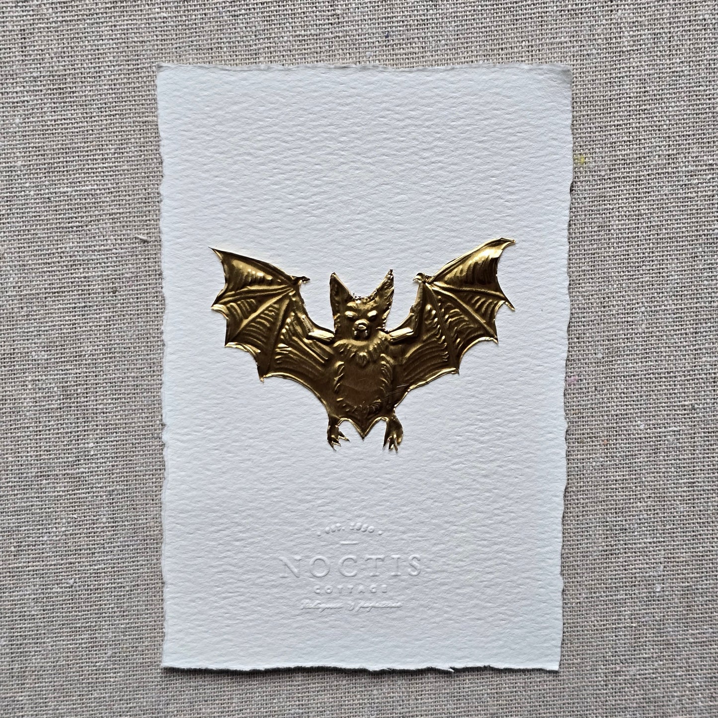 CARTE CHAUVE-SOURIS