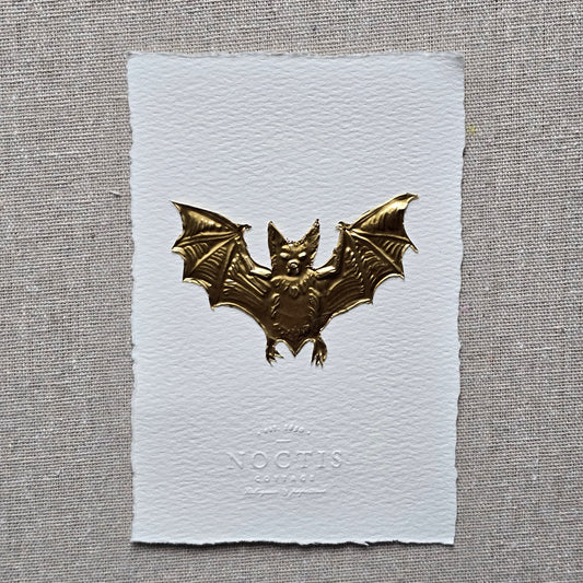 CARTE CHAUVE-SOURIS