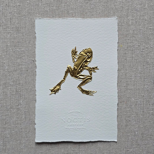 CARTE GRENOUILLE
