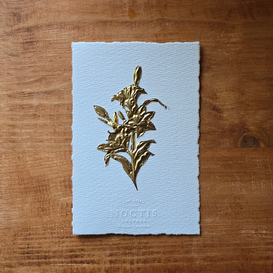 CARTE LYS