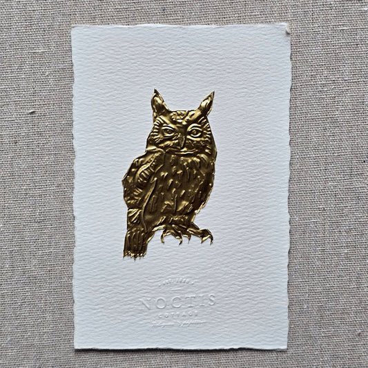 CARTE HIBOU