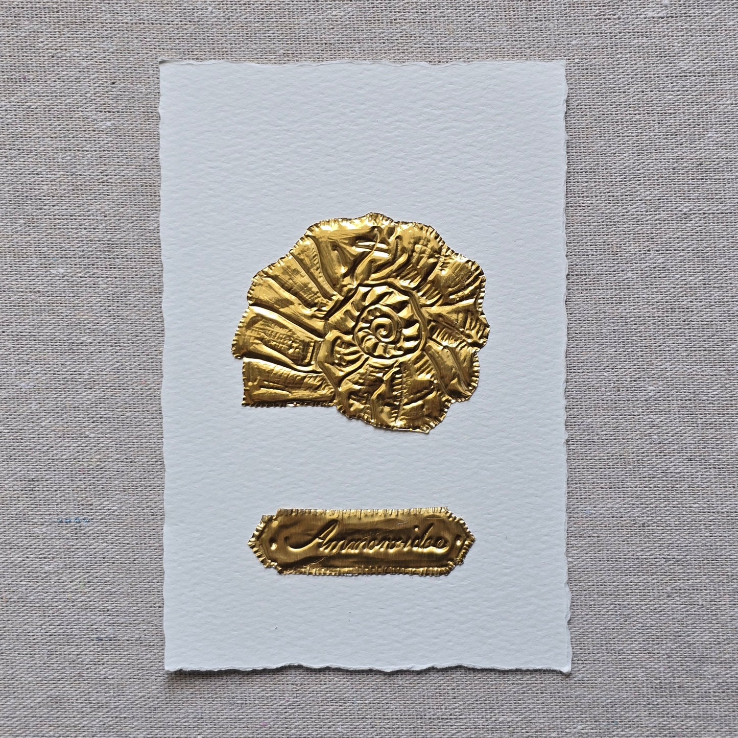 CARTE AMMONITE
