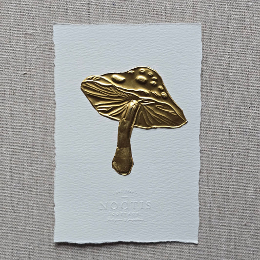 CARTE CHAMPIGNON