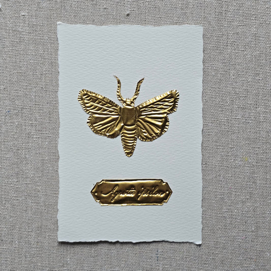 CARTE PAPILLON